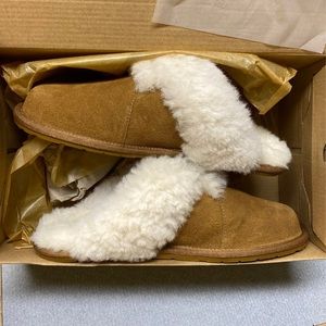 Ugg Slippers